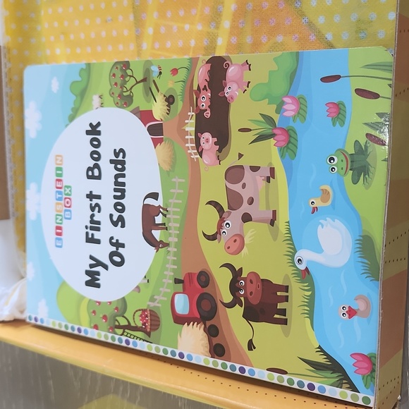 New Einstein Box - Age: 1 Years Box 1A - Picture 7 of 8